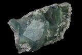 Blue-Green Fluorite on Sparkling Quartz - China #140257-1